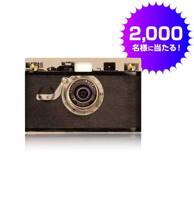 PaperShoot コードストラップセット